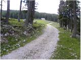 Planina Podvežak - Kapelica na Molički planini